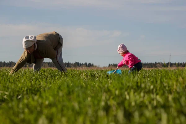 Grandmother and little granddaughter working in the field — Stock Photo, Image