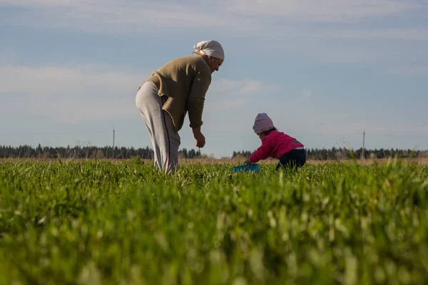 Grandmother and little granddaughter working in the field — Stock Photo, Image
