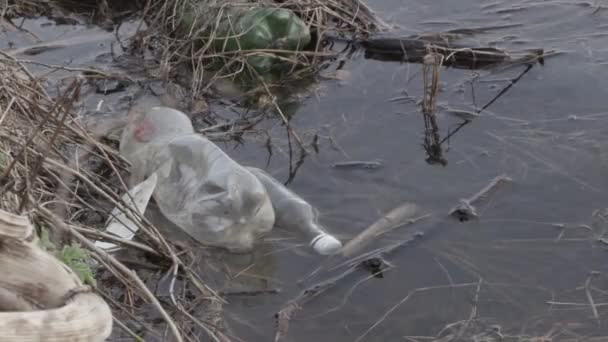Μολυσμένη όχθη του ποταμού. Οικολογική καταστροφή — Αρχείο Βίντεο