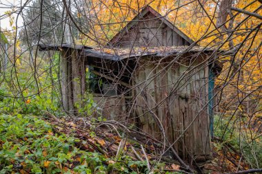 eski ve tahrip ahşap gündüz döken