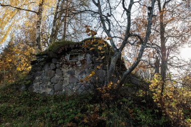 yosun ve çimenlerle kaplı ormanda taş ev