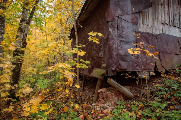 Starý dům na podpoře trámů v lese — Stock fotografie