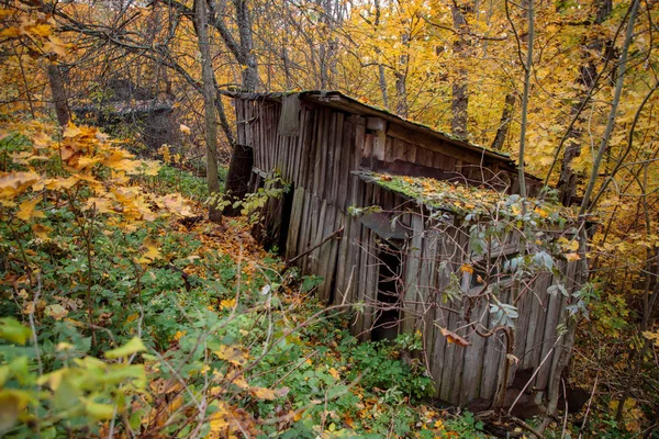 Old and destroyed wooden shed in the daytime — Stock Photo, Image