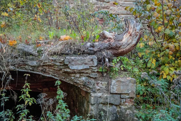 Viejo puente de piedra en el bosque durante el día —  Fotos de Stock