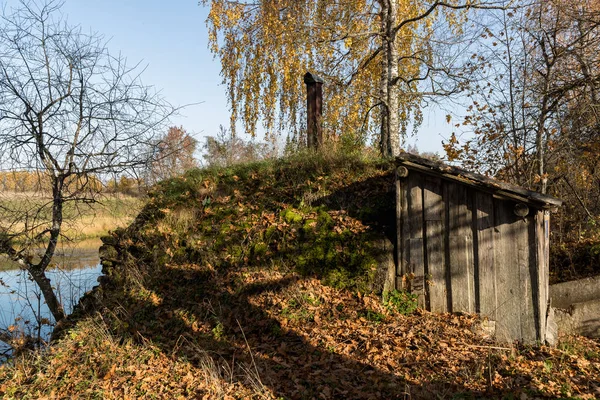 Vieux hangar en bois dans la forêt pendant la journée — Photo