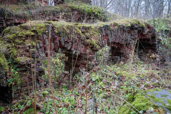 Viejo puente de piedra en el bosque durante el día — Foto de Stock