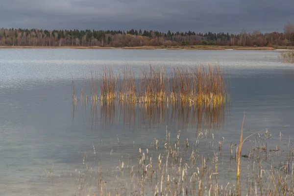 Kurlevsky quarry in het dorp Donzo Rusland overdag — Stockfoto