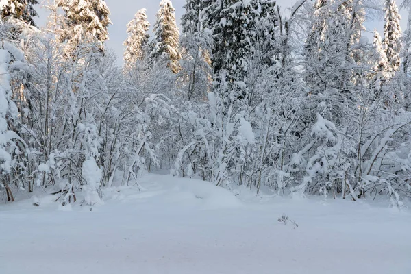 Kälte- und Winterlandschaften mit Schnee in Russland — Stockfoto