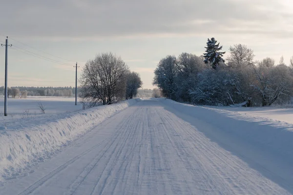 Rusya 'da kar yağan soğuk ve kış manzaraları