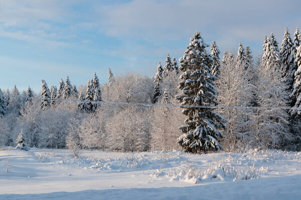 Cold and winter landscapes with snow in Russia.