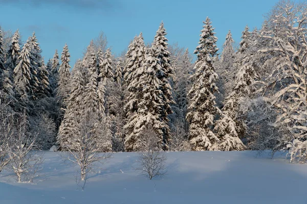 Hideg és téli tájak hó Oroszországban — Stock Fotó