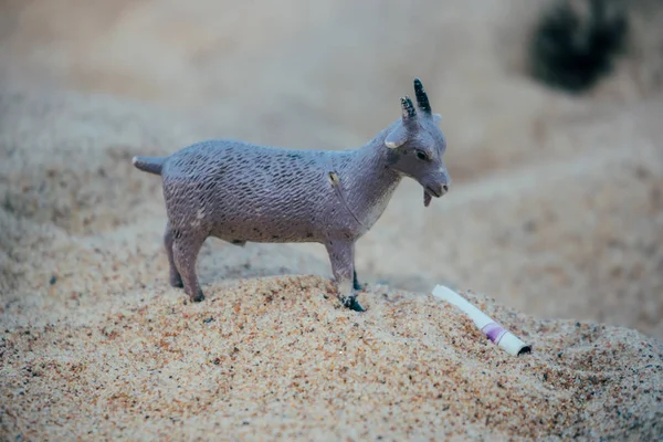 Plastikspielzeug in Form einer Ziege im Sand — Stockfoto