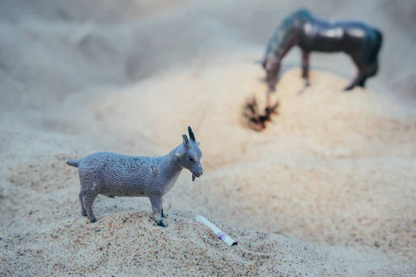 Plastik-Spielzeug in Form von Pferden und Ziegen am Tag im Sand — Stockfoto