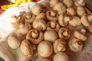 beyaz bir havlu üzerinde taze ve yıkanmış mantar