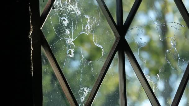 Balles percer la vitre d'une maison en bois vue de l'intérieur — Video