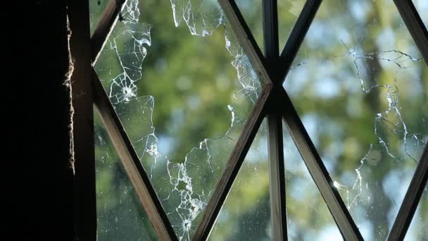 Bullets pierce the pane of a wooden house inside view — Stock Video