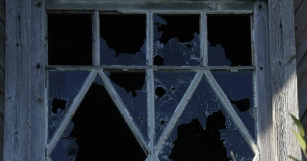 Kule przebijają okienko drewnianego domu poza widokiem — Wideo stockowe