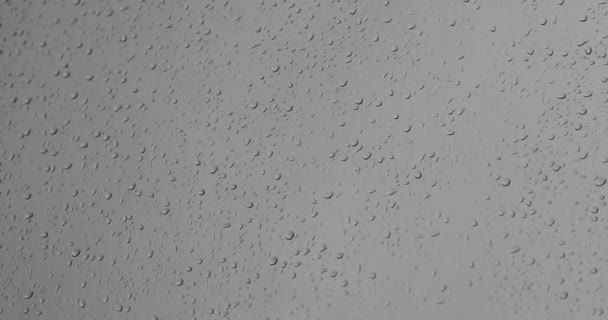 Gotas de lluvia en el vaso durante el día — Vídeos de Stock