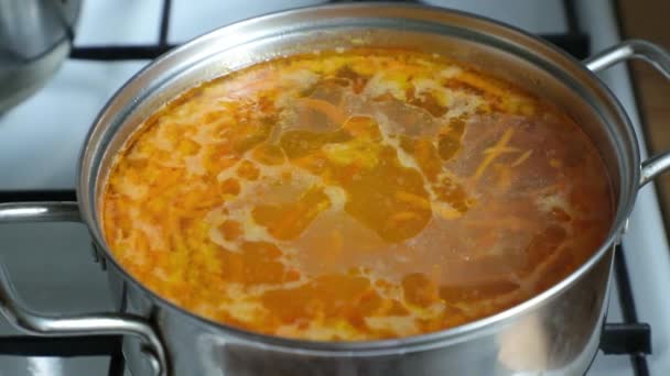 Sopa de verduras cocida en una sartén en la estufa de gas — Vídeo de stock