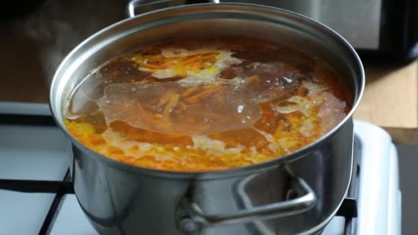 Soupe de légumes cuite dans une casserole sur la cuisinière à gaz — Video