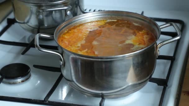 Vegetable soup cooked in a pan on the gas stove — Stock Video