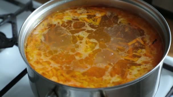 Groentesoep gekookt in een pan op het gasfornuis — Stockvideo