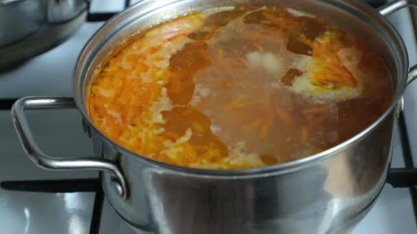 Vegetable soup cooked in a pan on the gas stove — Stock Video
