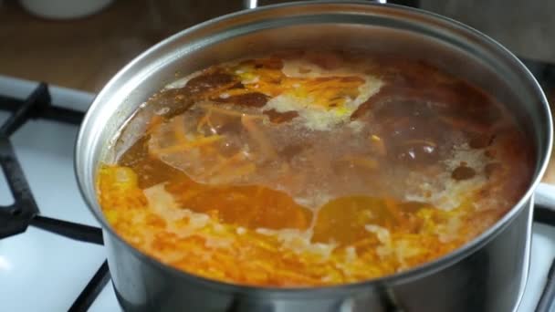 在煤气炉上的锅里煮的蔬菜汤 — 图库视频影像