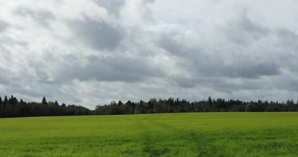 Paesaggio di campo verde e bosco in lontananza così come il cielo con le nuvole — Video Stock