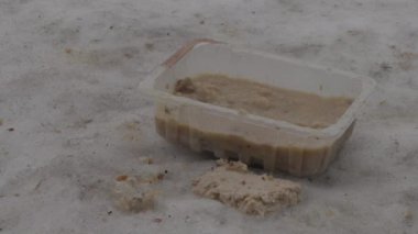 kirli kar da chowder yakın eski çirkin plastik kase