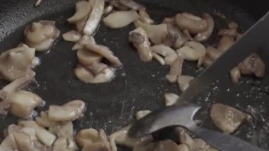 bir tavada yakın çekim de kavurma mantar