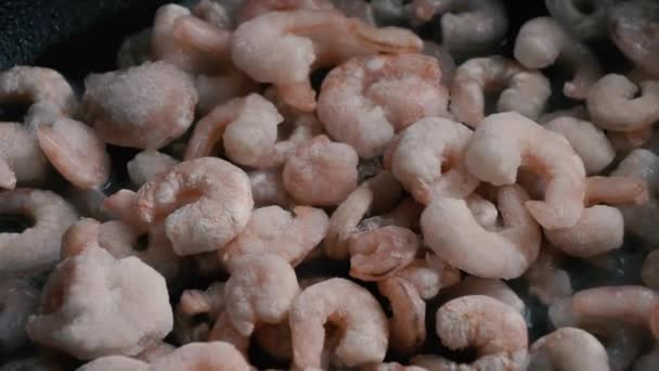 Los langostinos congelados sin cola se fríen en el aceite en la cacerola — Vídeos de Stock