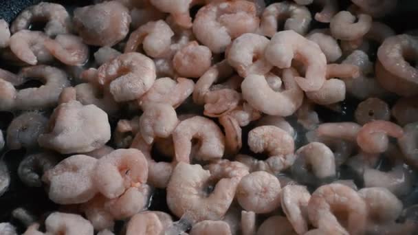 Frozen shrimps without a tail fry in oil in a pan — Stock Video