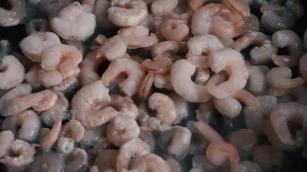 Mrożone krewetki bez narybku w oleju na patelni — Wideo stockowe