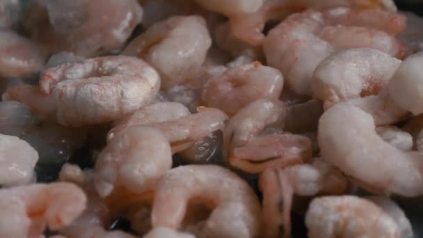 Los langostinos congelados sin cola se fríen en el aceite en la cacerola — Vídeo de stock