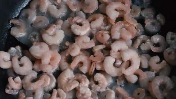 Frozen shrimps without a tail fry in oil in a pan — Stock Video