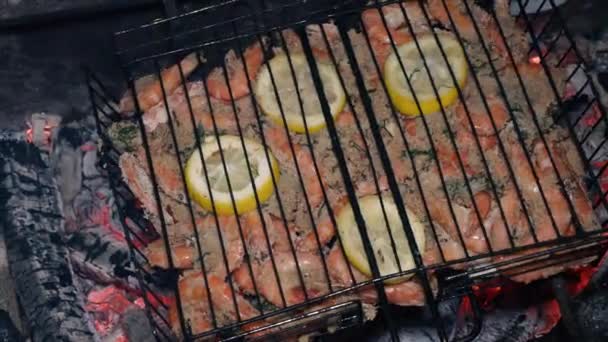 Gambas tigre cocinadas sobre carbón vegetal — Vídeo de stock