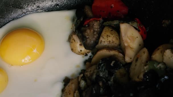 Kyckling ägg med potatis och grönsaker rostning i en kastrull — Stockvideo