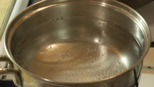 Water in de pot kookt close up — Stockvideo