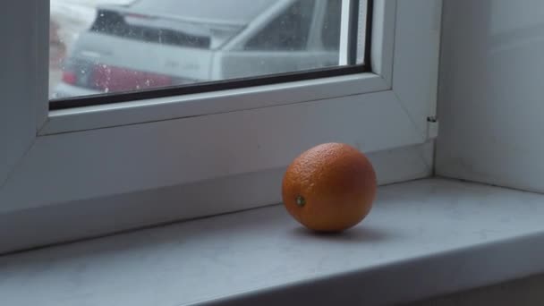 Naranja en el alféizar de la ventana — Vídeo de stock