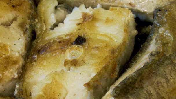 Ryby dorsza grillowanie na patelni zbliżenie — Wideo stockowe