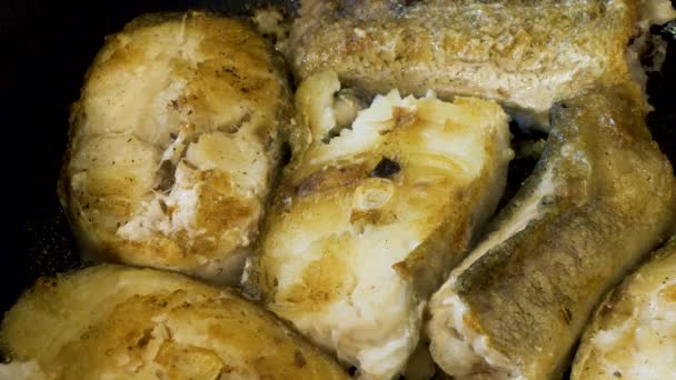 Ryby dorsza grillowanie na patelni zbliżenie — Wideo stockowe