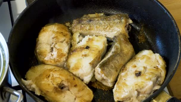 Pește de cod grill într-o tigaie close-up — Videoclip de stoc