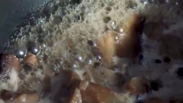Киплячі гриби на сковороді — стокове відео
