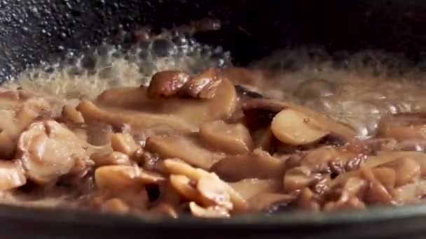 在平底锅中煮蘑菇 — 图库视频影像