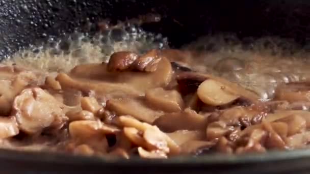 Kokende paddenstoelen in een pan — Stockvideo