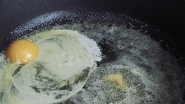 Los huevos de gallina fríen en la mantequilla en la cacerola — Vídeo de stock