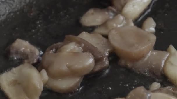 Paddestoelen Braden in een pan close-up — Stockvideo