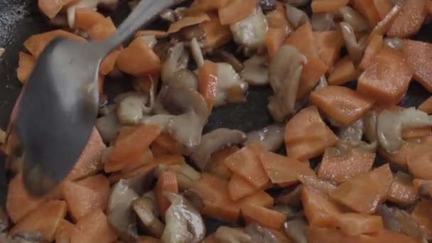 Carottes aux champignons à frire dans une poêle — Video