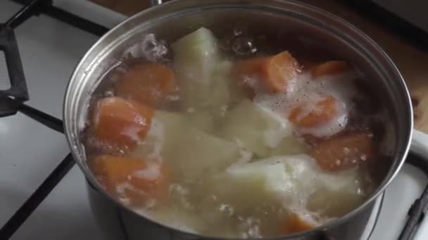 Zanahorias con patatas estofado en una sartén — Vídeos de Stock